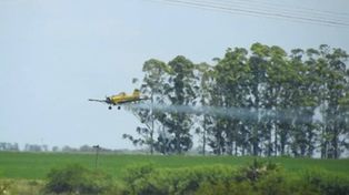 Peligro avión. El proyecto busca evitar las fumigaciones aéreas con agrotóxicos.