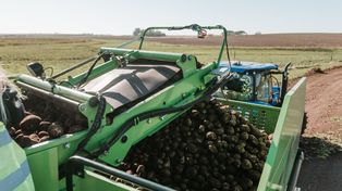 Los productores emplean herramientas tecnológicas como sensores, drones, imágenes satelitales y técnicas de agricultura de precisión, que permiten optimizar el uso de recursos y minimizar el impacto ambiental.