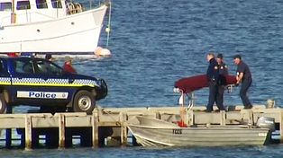Un tiburón blanco mató a un buzo que estaba pescando en la costa de Tasmania