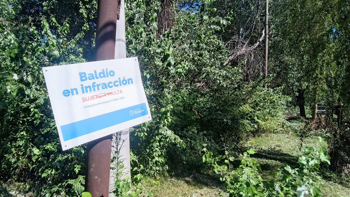 Baldíos: proponen beneficios para quienes los mantienen y multas más duras por abandono