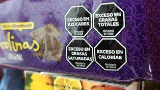 Los envases y paquetes de alimentos muestran una nueva composición desde la Ley Nacional de Etiquetado Frontal Nº 27.642.