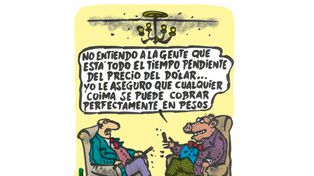 Humor diario por Freddy - 25 de septiembre de 2024