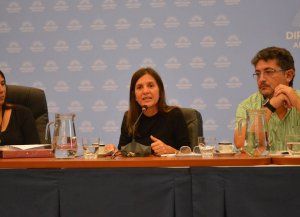 Raverta pidió a los diputados que aprueben la moratoria previsional