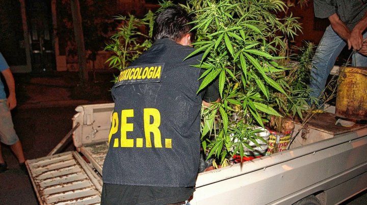 La resolución afirma que el policía que consume drogas está colaborando con el mercado ilícito que debe combatir.