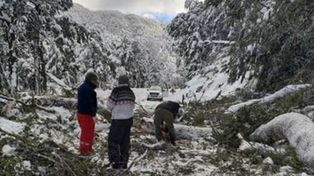 Abren la ruta 40 un mes después de los derrumbes