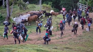 Miles de haitianos cruzan la selva colombiana para llegar a Panamá y seguir a EE.UU
