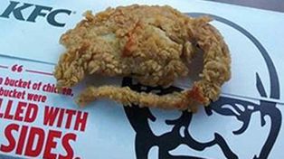 Un  cliente pidió pollo en una cadena de comidas rápidas y le trajeron una rata frita