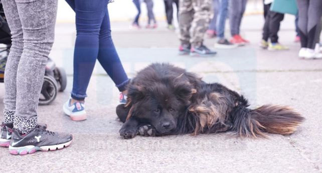 El Polo Obrero corta Cinco Esquinas en Paraná