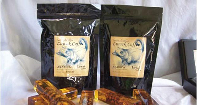 El caf&eacute; m&aacute;s caro del mundo tiene excremento de marsupial