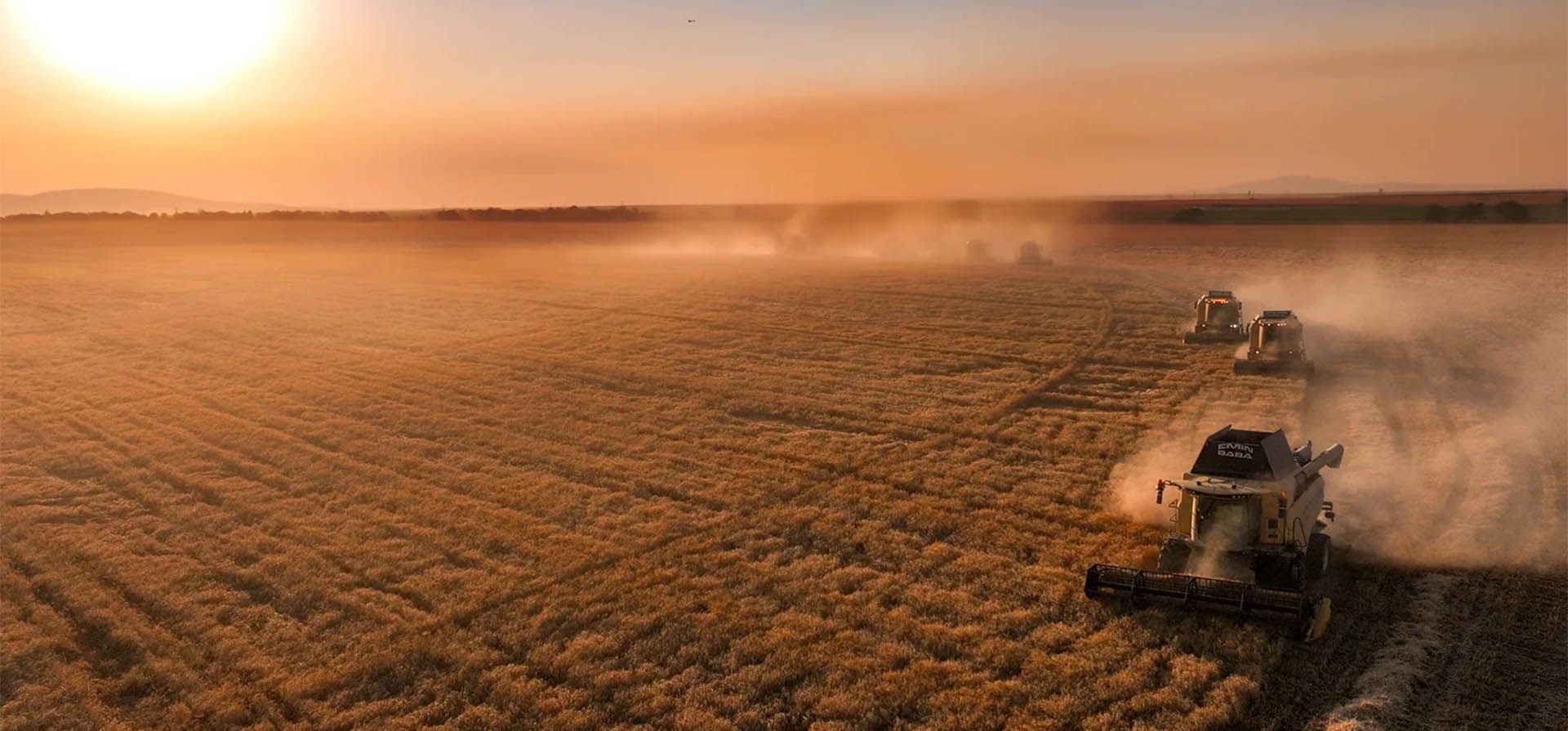 La temporada de cosecha termina en los campos circulares de trigo de Altnova y Gözlü en el distrito de Kadnhan, Konya, Turquía. Fotografía: Anadolu/Getty Images La temporada de cosecha termina en los campos circulares de trigo de Altnova y Gözlü en el distrito de Kadnhan, Konya, Turquía. Fotografía: Anadolu/Getty Images