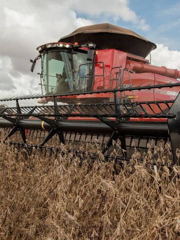 Creció el patentamiento de maquinaria agrícola