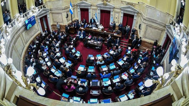 ¿Cómo es la ley aprobada en Diputados y qué modificó el Senado?