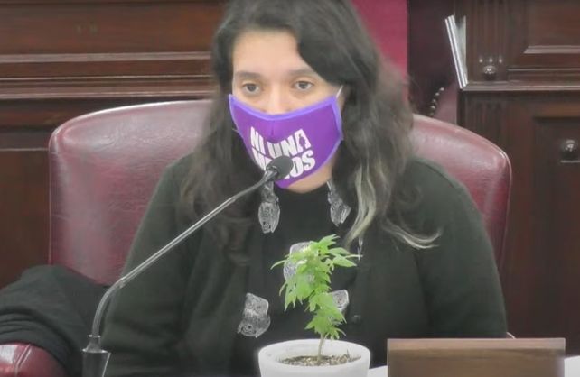 La diputada Agustina Donnet sorprendió cuando en plena sesión sacó una planta de marihuana para argumentar a favor del autocultivo con fines medicinales y terapéuticos.