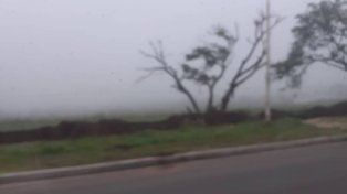 Entre Ríos: el SMN emitió una alerta violeta por presencia de bancos de niebla