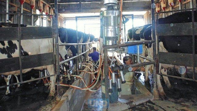 Tamberos advierten sobre la caída de la rentabilidad en el sector