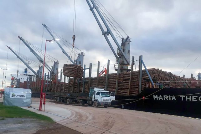 Movimiento en el puerto de Concepación del Uruguay. El buque proveniente de Marruecos completará su carga en Ibicuy.