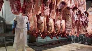 Los precios de la carne se entonan en la última parte del año.
