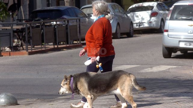 Temperaturas agradables para la ciudad