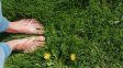 La conexión con la naturaleza se presenta como una de las claves más trascendentales en la búsqueda de la felicidad