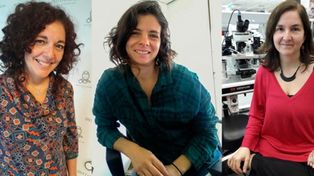 Premian a tres científicas argentinas por sus trabajos sobre cáncer y neurología