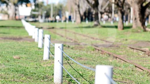 Tren urbano: dudas por las obras en el Parque Federal
