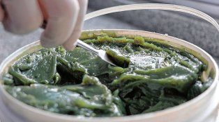 La UNL lanzó al mercado, en conjunto con Andes S.A, la primera grasa lubricante biodegradable de fabricación nacional.
