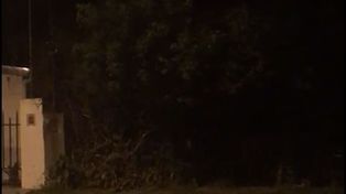 Captura de pantalla del video que sorprende por la crudeza de los gritos.&nbsp;