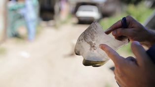 Intensifican las tareas para prevenir el dengue en barrios