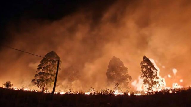 Los focos ígneos fueron sofocados por los Bomberos de Federación con abastecimiento de agua de la Municipalidad local y vecinos