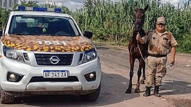 Olivia fue recuperada por la Brigada de Abigeato.