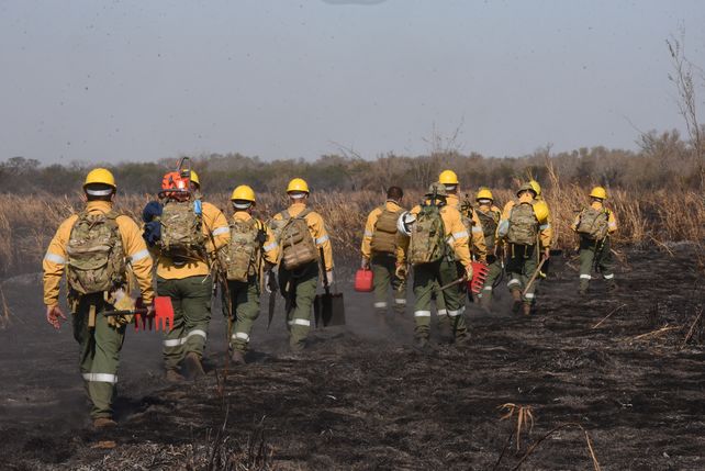 Cuatro contagios de coronavirus condicionan el operativo contra los incendios de las islas