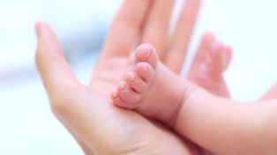 Son nueve los nacimientos que se realizaron por inseminaciones gratuitas