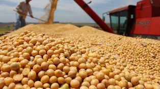 Un informe de Cancillería destaca el potencial exportador de Santa Fe