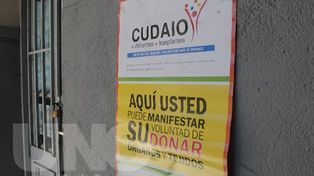 Hasta el momento el 90% de las expresiones de voluntad fueron positivas