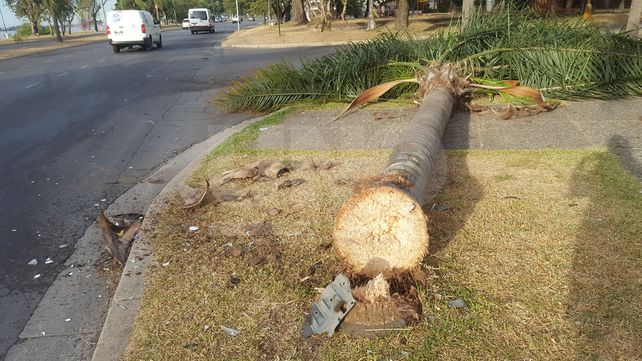 Una mujer en estado delicado luego de chocar su auto con una palmera en la Costanera