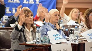 La Cámara de Diputados aprobó por unanimidad el proyecto de ley, que crea el Programa Provincial de Acompañamiento Integral a Familiares de Pacientes Menores Oncológicos Crónicos conocido como Ley Felipe.
