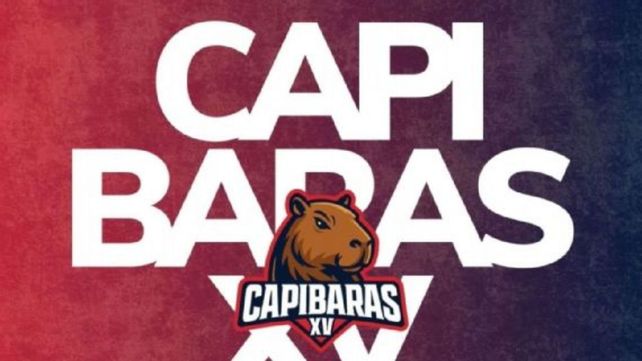 Capibaras VX