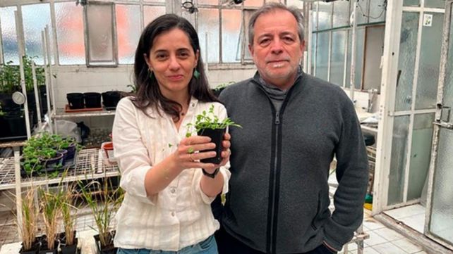 Mariana Obertello y Jorge Muschietti, Investigadores del CONICET y de la FCEN-UBA, integraron el equipo de investigación que realizó el avance.