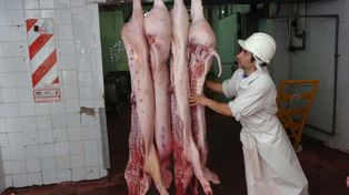 Los frigoríficos, el eslabón que más sufre la caída del consumo