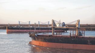 Ingreso de divisas: el complejo agroindustrial liquidó u$s 1.850 millones en enero