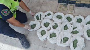 Pasó a Corrientes la causa por las 38 mil pastillas de Rohypnol secuestradas en Entre Ríos