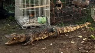 Enseñaron a los chicos sobre la conservación de la fauna silvestre