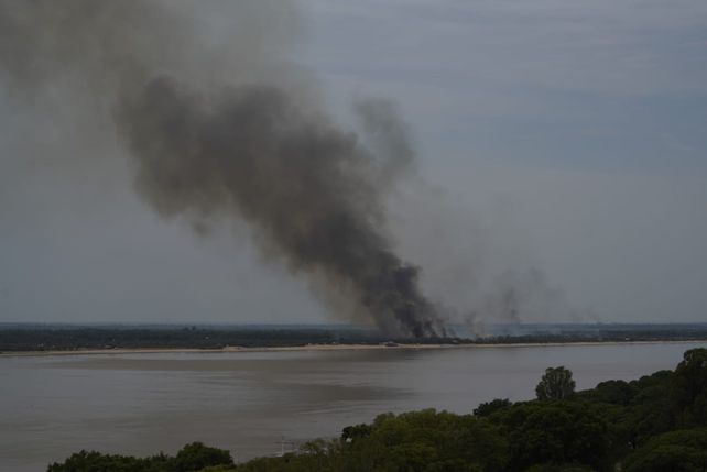 Incendios en las islas: Santa Fe le exige resultados a la Justicia para hallar responsables