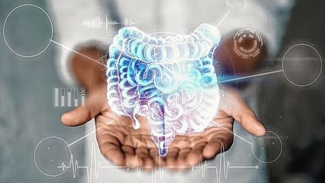 El cáncer. Colorrectal (CCR)