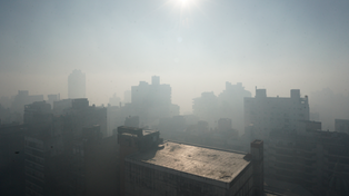 Desde hace años la ciudad de Rosario se ve invadida por el humo de la quema de pastizales en las islas.