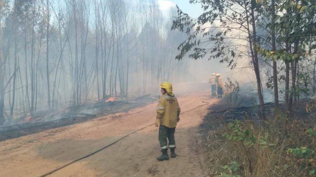 El Gobierno nacional prorrogó la emergencia por los incendios