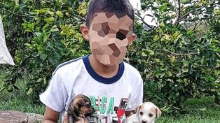Colombia: murió un niño al comerse una gomita que tenía LSD