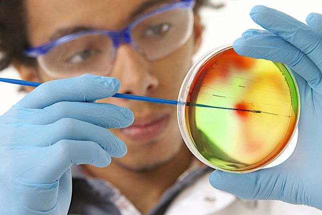 Expertos sostienen que la resistencia a los antibióticos varía según países