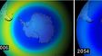 Un acuerdo ecol&oacute;gico por la capa de ozono salv&oacute; al planeta de la extinci&oacute;n