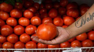 El precio del tomate se disparó en los últimos días y el kilo llegó a 7 mil pesos.&nbsp;